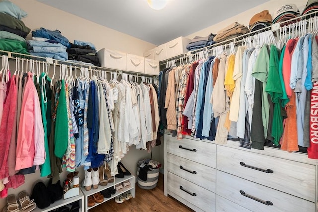 128 Parker St Unit 4C, Acton, MA 01720 - spacious closet with wood finished floors