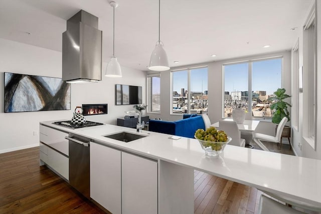 525 E 1st St Unit 5, Boston, MA 02127 - kitchen with a sink, stainless steel appliances, dark wood-style floors, exhaust hood, and light countertops