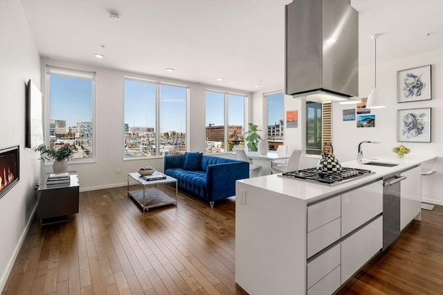 525 E 1st St Unit 5, Boston, MA 02127 - kitchen with modern cabinets, a sink, white cabinets, dark wood-style floors, and appliances with stainless steel finishes