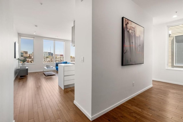 525 E 1st St Unit 5, Boston, MA 02127 - corridor with wood-type flooring and baseboards