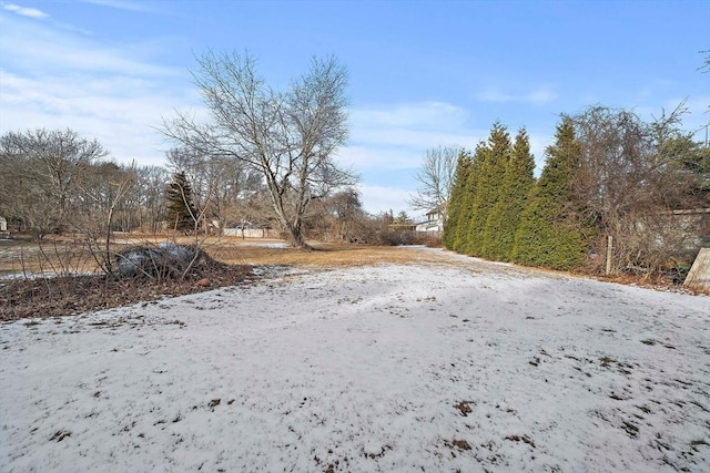 view of snowy yard