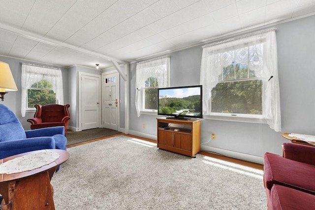 18 Stover Ct, Amesbury, MA 01913 - carpeted living area with crown molding