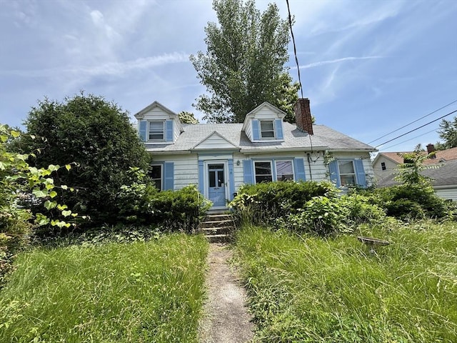 113 Lexington St, Springfield, MA 01107 - cape cod home featuring a chimney