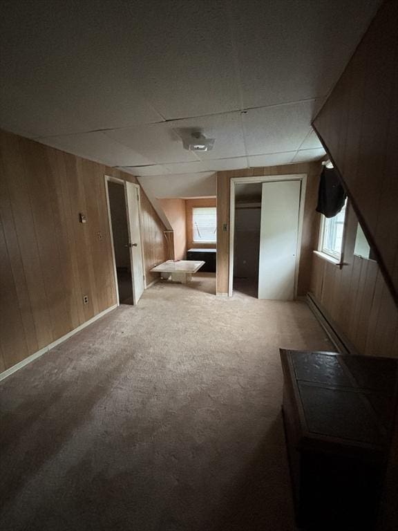 113 Lexington St, Springfield, MA 01107 - additional living space featuring carpet floors and wooden walls
