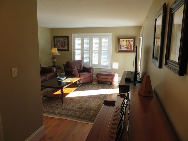 living room featuring wood-type flooring