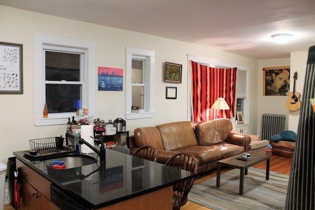 living room with light wood-type flooring and radiator