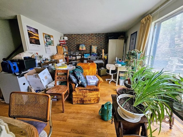 12 Chadwick Ct Unit 12, Amherst, MA 01002 - living area featuring light wood-style floors