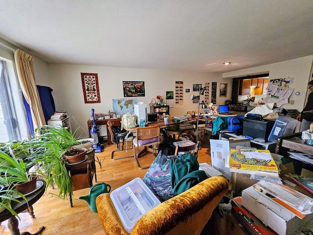 12 Chadwick Ct Unit 12, Amherst, MA 01002 - living room featuring light wood-style floors
