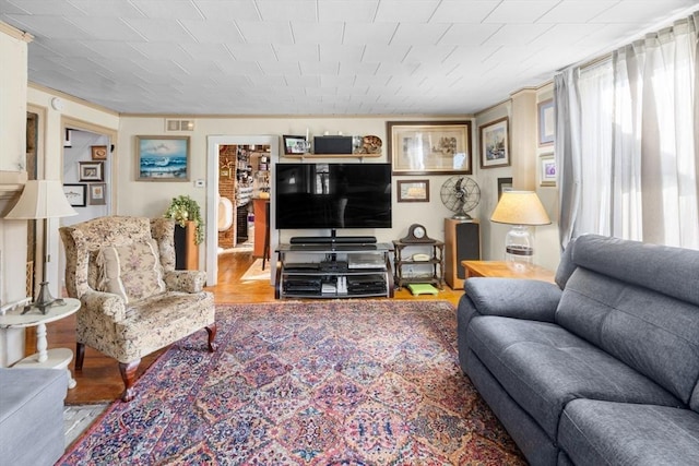 living room featuring wood finished floors and visible vents