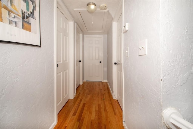 hall with hardwood / wood-style floors