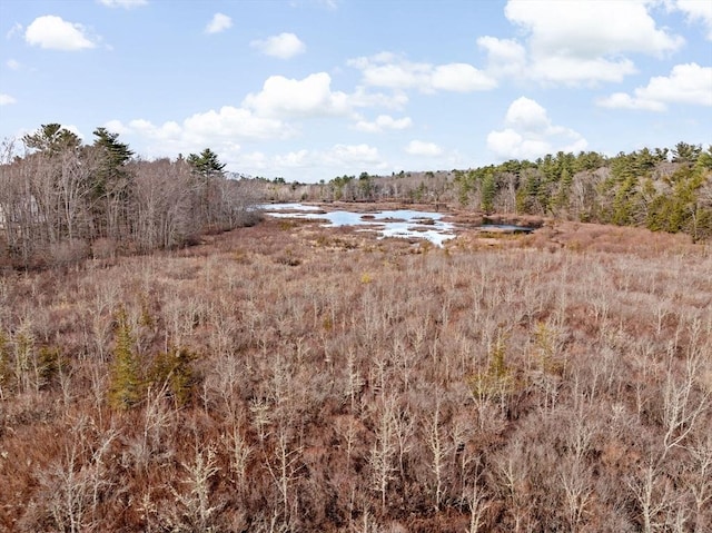 view of nature with a water view and a wooded view