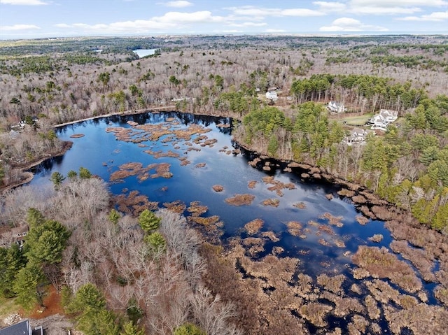 bird's eye view featuring a water view and a view of trees