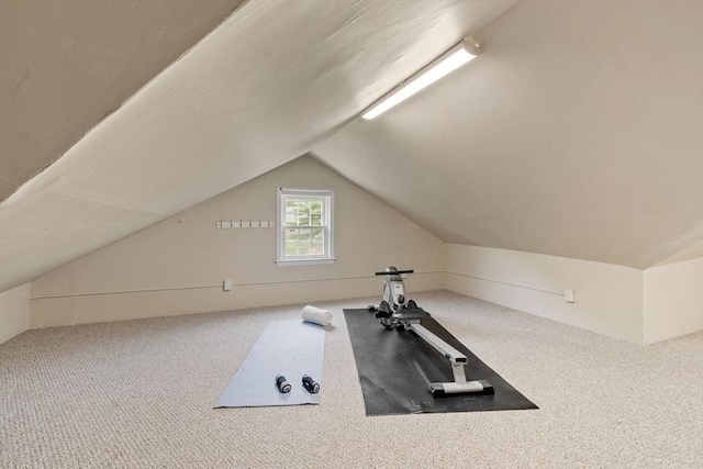 20 Chandler Rd, Andover, MA 01810 - exercise area featuring lofted ceiling and carpet floors