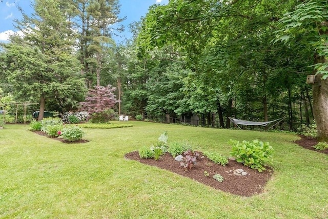 20 Chandler Rd, Andover, MA 01810 - view of grassy yard