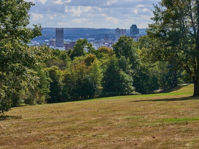 mountain view with a view of city