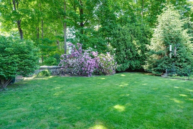 21 Mechanic St, Holliston, MA 01746 - view of green lawn