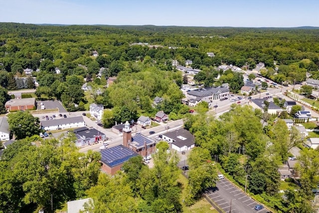 21 Mechanic St, Holliston, MA 01746 - bird's eye view of a heavily wooded area