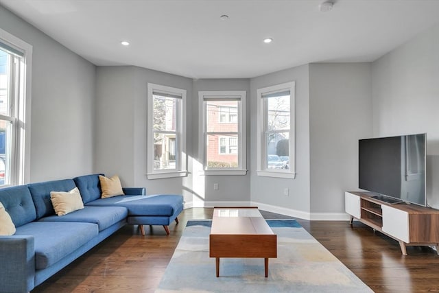 living room featuring dark hardwood / wood-style floors