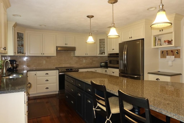 12 Hampton Ct, Walpole, MA 02032 - kitchen featuring stainless steel appliances, a sink, under cabinet range hood, dark wood-style flooring, and tasteful backsplash