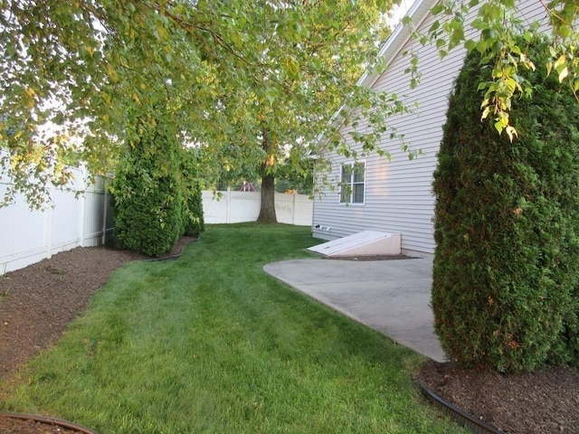 view of yard featuring a patio area and a fenced backyard