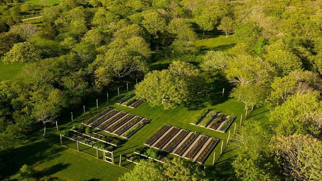 61 Butlers Cove Rd, Edgartown, MA 02539 - aerial view