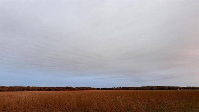 61 Butlers Cove Rd, Edgartown, MA 02539 - view of undeveloped land