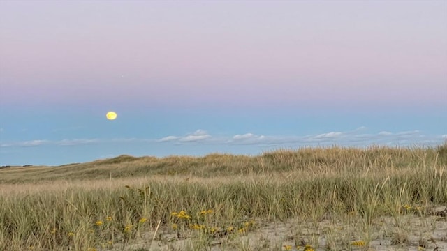61 Butlers Cove Rd, Edgartown, MA 02539 - view of nature
