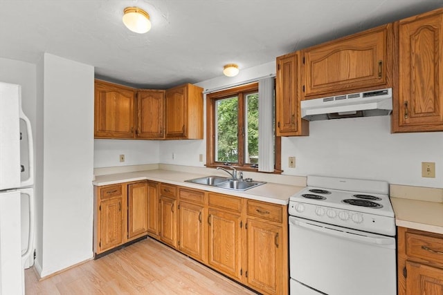 3 Meadow Way, Norton, MA 02766 - kitchen with under cabinet range hood, white range with electric stovetop, a sink, light wood-type flooring, and light countertops