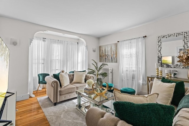 living room featuring a healthy amount of sunlight, baseboards, and wood finished floors