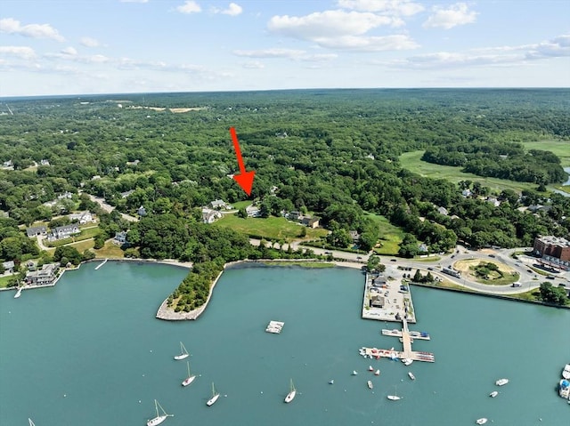 drone / aerial view featuring a forest view and a water view