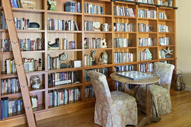 living area featuring wood-type flooring