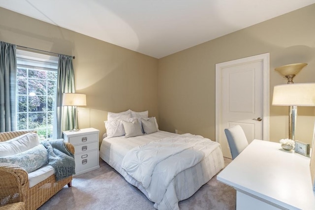 7 Brimfield Way, Westfield, MA 01085 - bedroom with light carpet