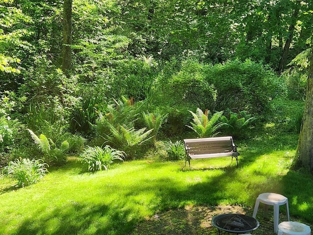 surrounding community featuring a fire pit