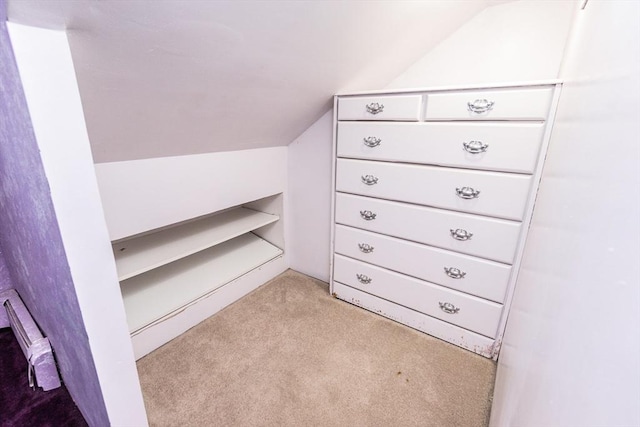 spacious closet with light carpet and vaulted ceiling