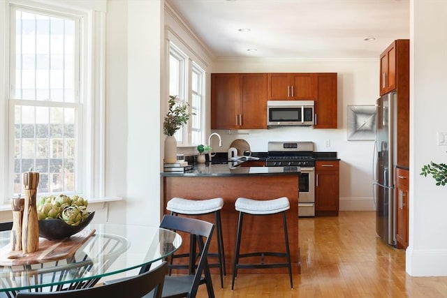 kitchen featuring a peninsula, dark countertops, a healthy amount of sunlight, and appliances with stainless steel finishes