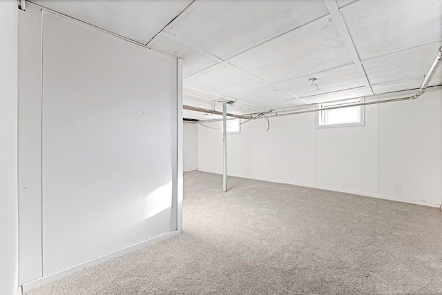 basement with carpet floors and a drop ceiling