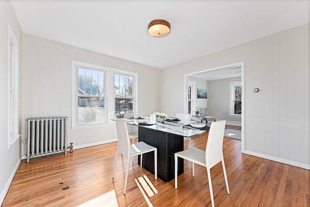 dining room with radiator heating unit and light hardwood / wood-style floors