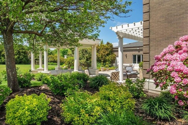 view of yard with a patio area