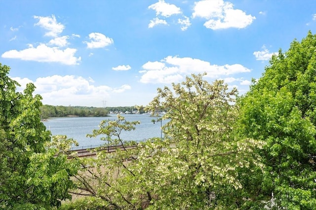 24 Lemon St Unit 2, Salem, MA 01970 - water view