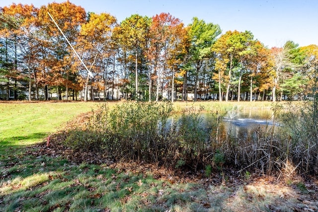 view of property's community featuring a water view