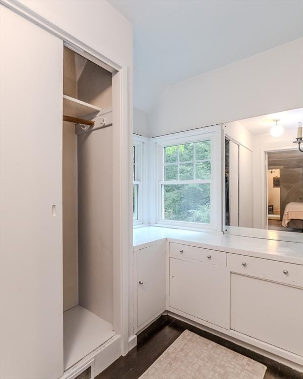 view of closet