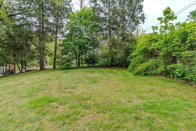 view of grassy yard