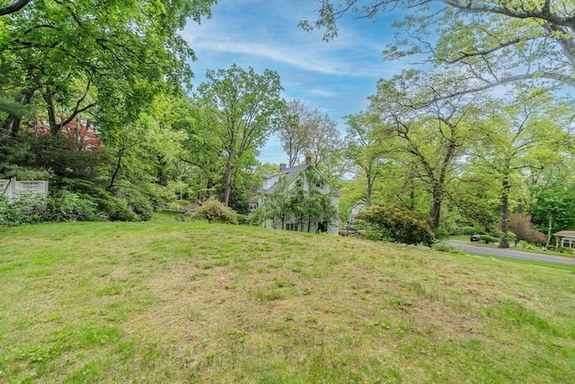 view of grassy yard