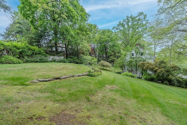 view of green lawn
