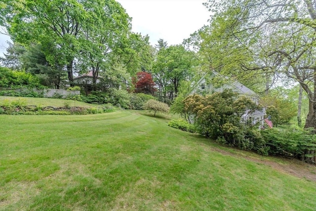 view of green lawn with view of wooded area