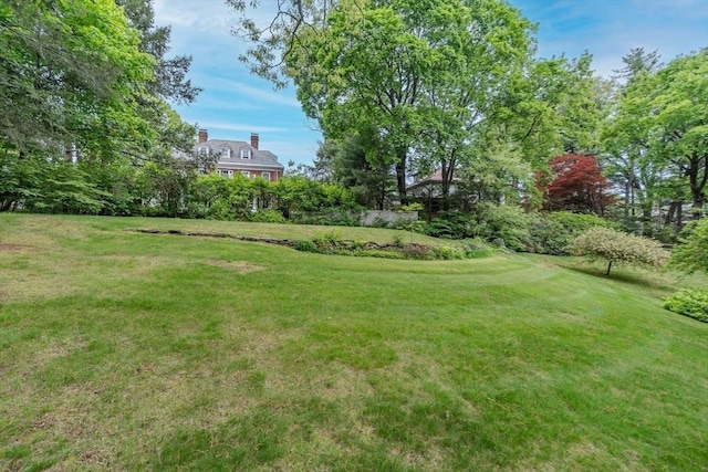 view of grassy yard