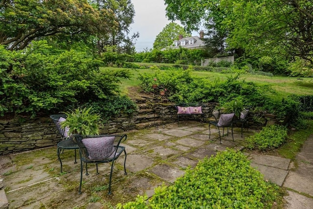 view of yard featuring a patio