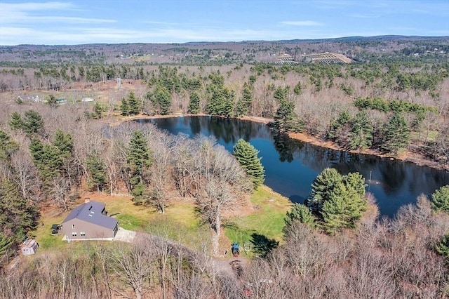 bird's eye view featuring a forest view and a water view