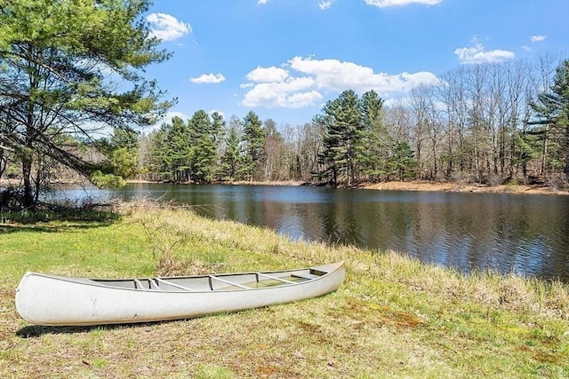 property view of water with a view of trees