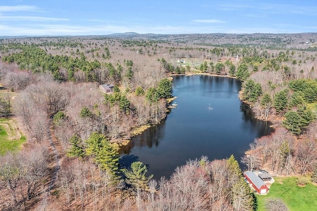 bird's eye view featuring a view of trees and a water view